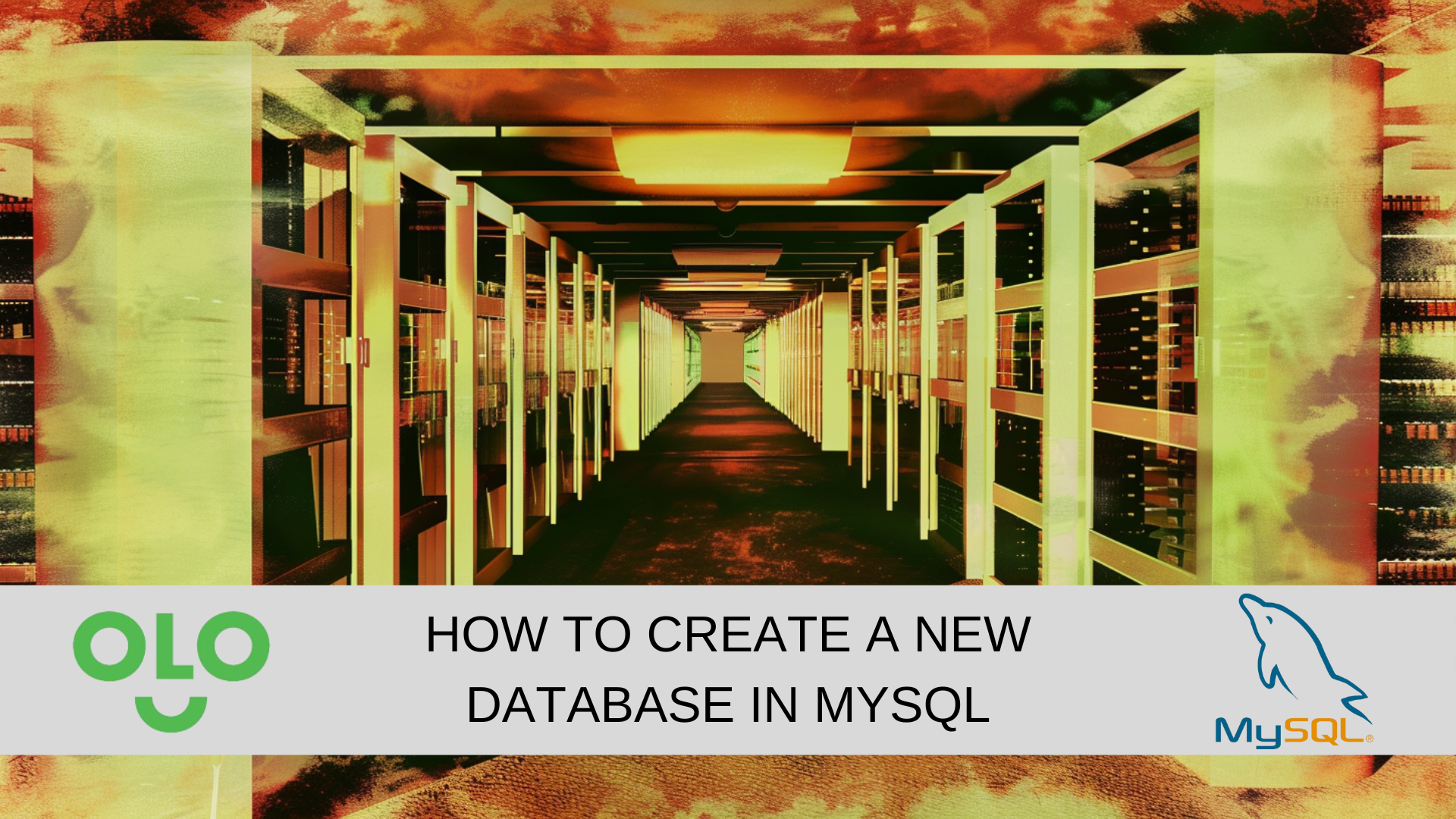 How to Create a New Database in MySQL